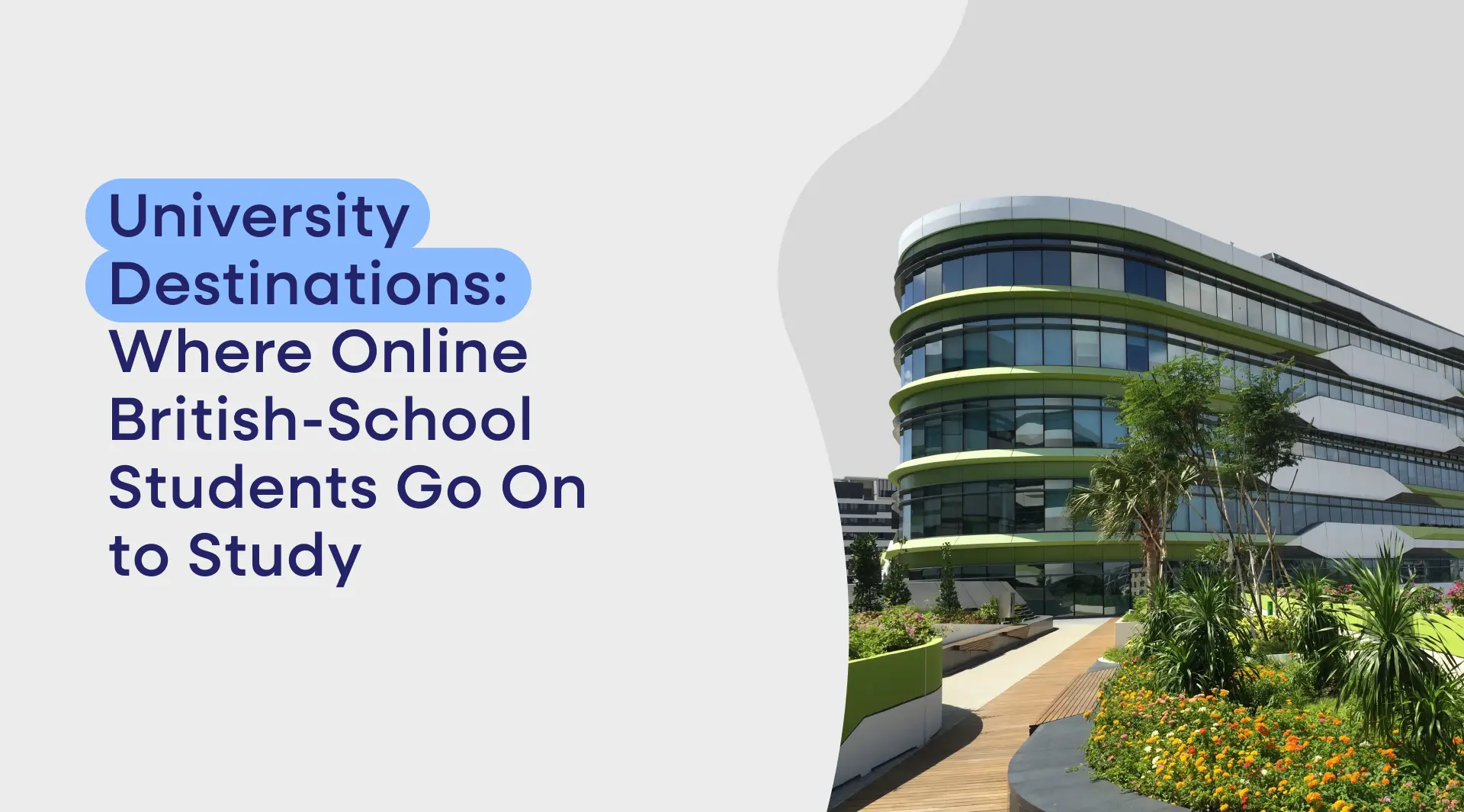 University Destinations: Where Online British-School Students Go On to Study